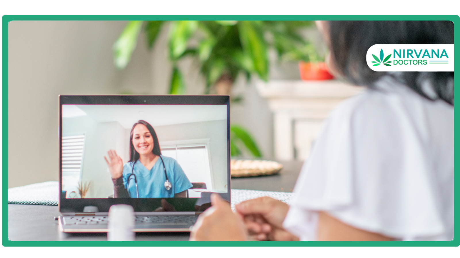 How To Renew Massachusetts Medical Marijuana Card Online_