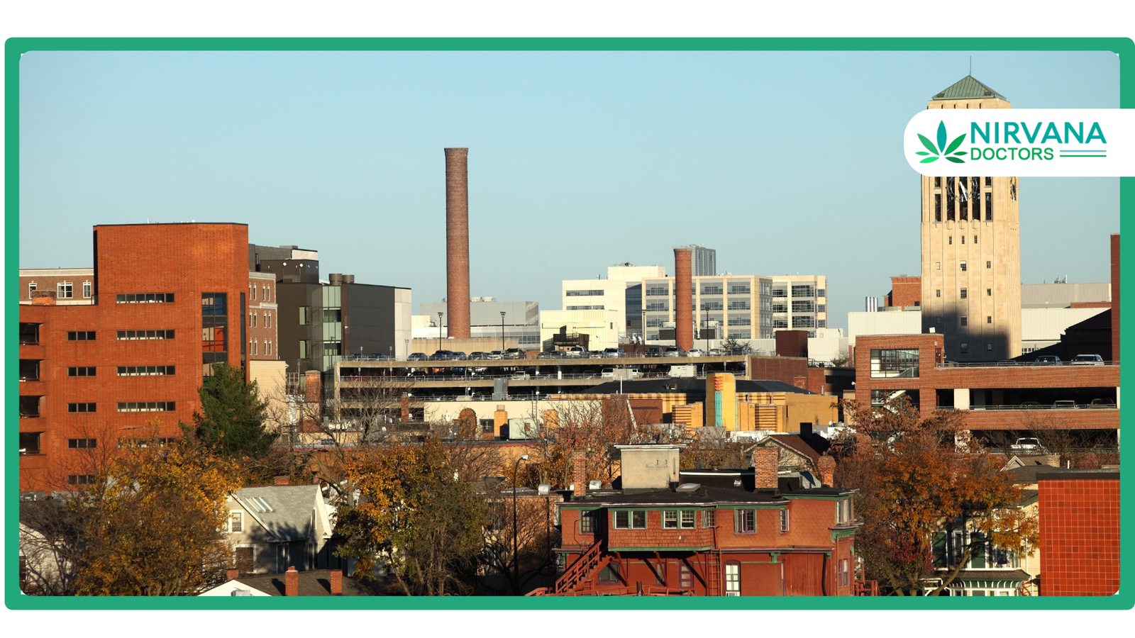 The complete guide to cannabis in Ann Arbor, MI